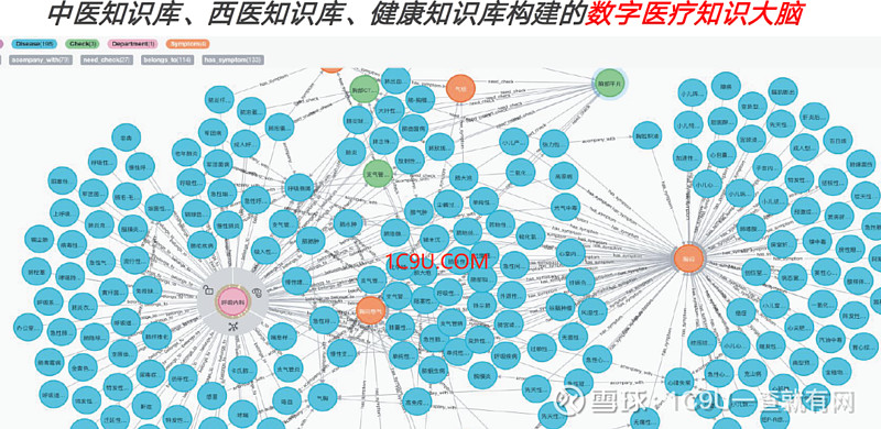 医疗AI算法：推进精准诊疗的脚步